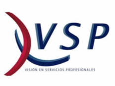 VISION Logo